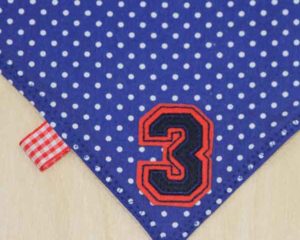 Navy-polka-dot-full-bandana-bib-3-motif-detail-BB030