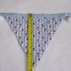 Rose and Hubble blue bunting