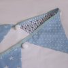 Rose and Hubble blue bunting