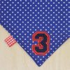 Navy-polka-dot-full-bandana-bib-3-motif-detail-BB030